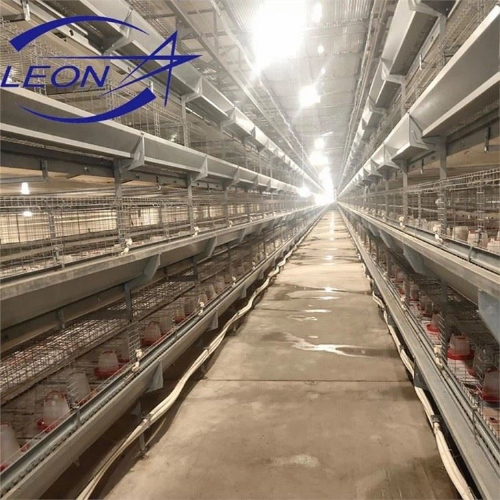 Automatic Layer Cage System Automatic Layer Cage System
