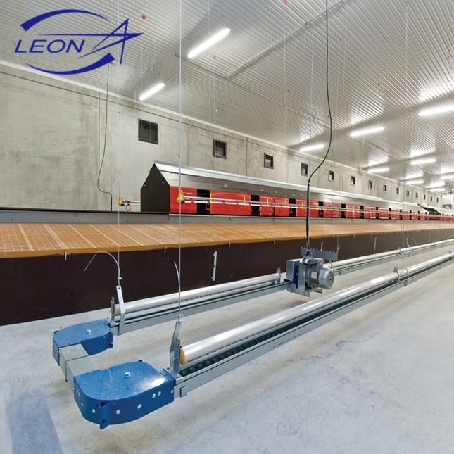 Breeder Chicken Farm Equipment