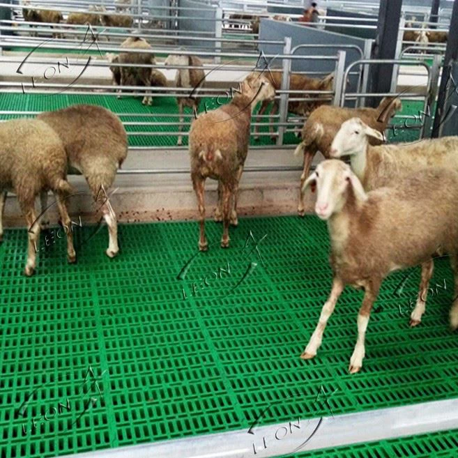 Plastic Slatted Floor For Goat Sheep Farming Plastic Slatted Floor For Goat Sheep Farming